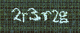 CAPTCHA_picture