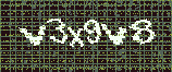 CAPTCHA_picture